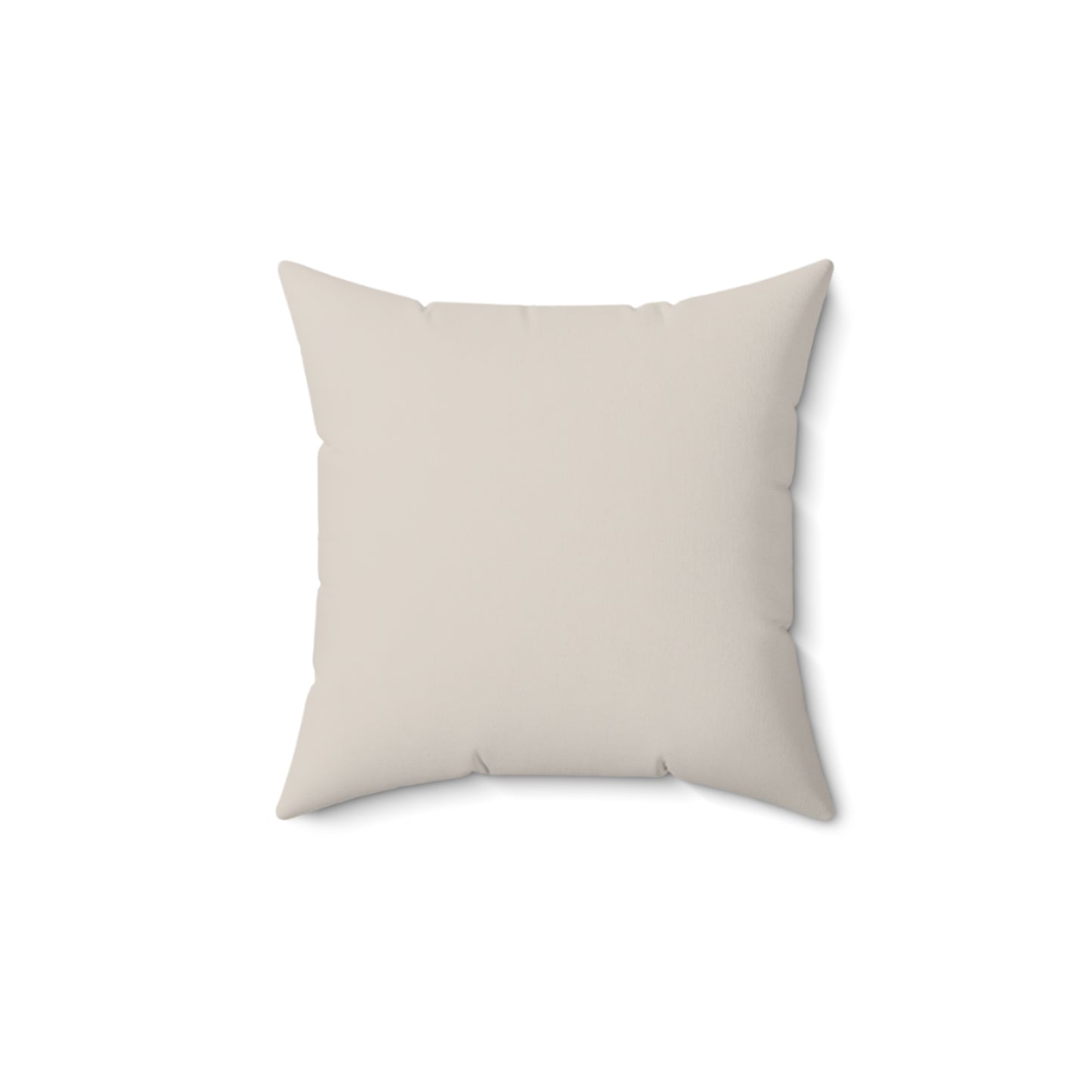 Trash Cans Square Pillow